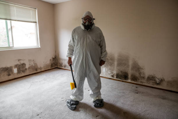 Best Black Mold Removal  in Huntington Beach, CA